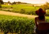 Turismo rural en Estados Unidos hacer turismo de campo en Estados Unidos
