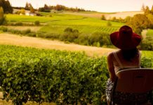 Turismo rural en Estados Unidos hacer turismo de campo en Estados Unidos